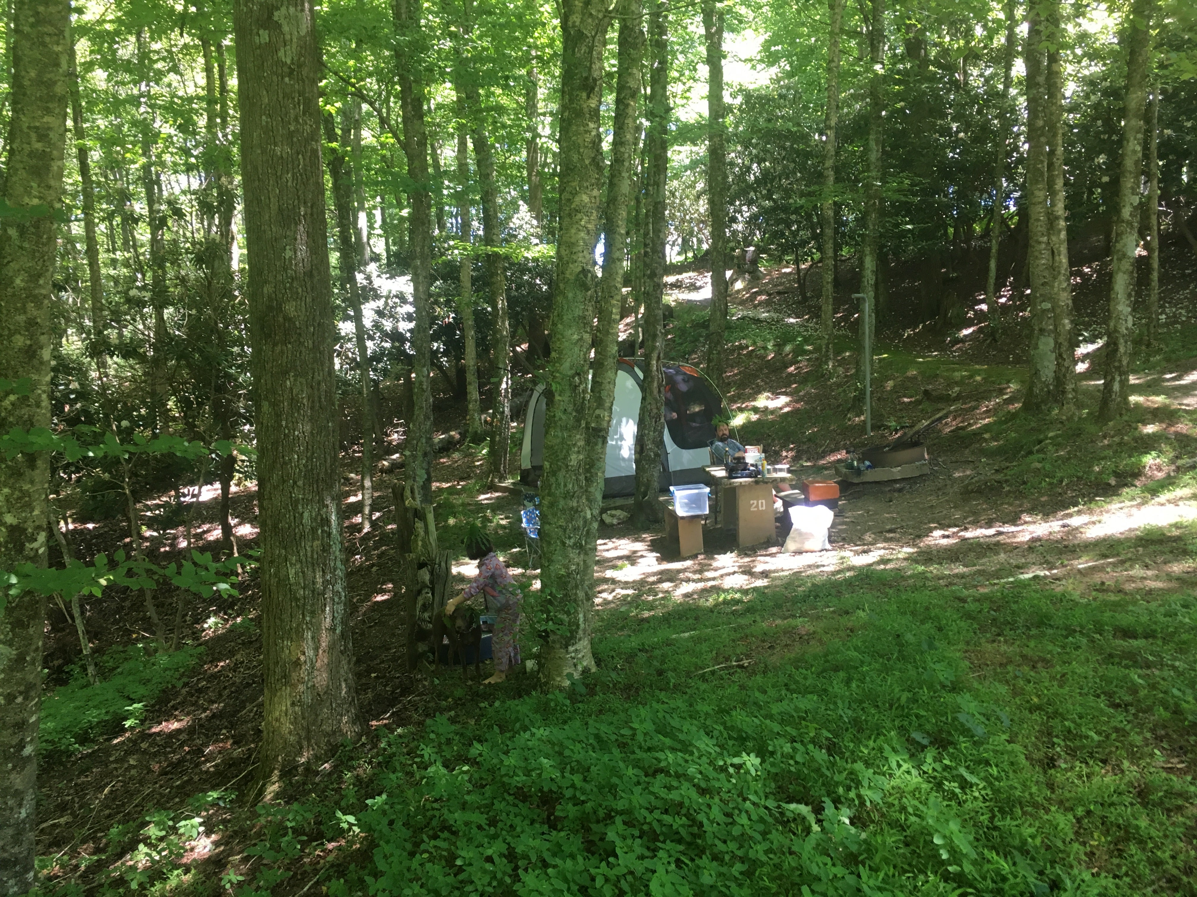 Camper submitted image from Doughton Park Campground — Blue Ridge Parkway - 2