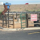 Review photo of High Desert RV Park by Lara O., June 20, 2022