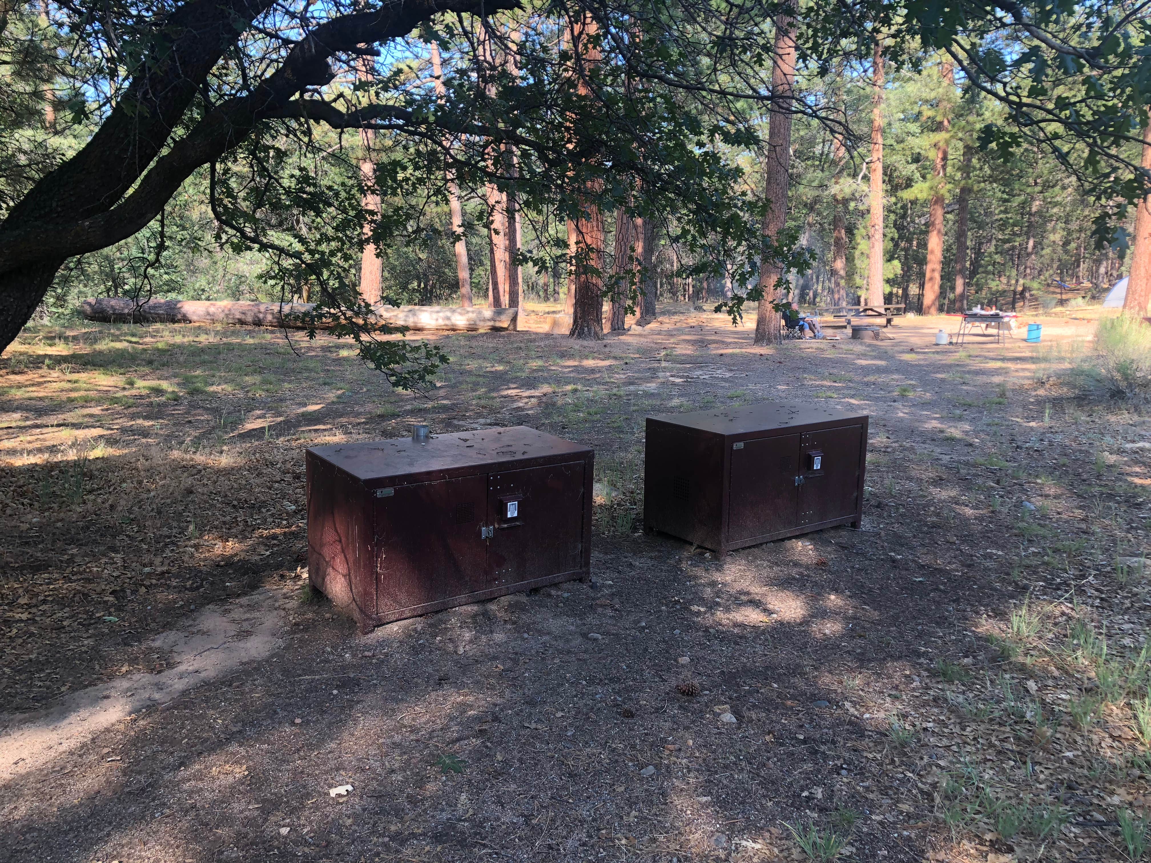 Joseph D.'s photo of camping with pets at San Gorgonio Campground near Big Bear Lake, CA
