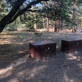 Review photo of San Gorgonio Campground by Joseph D., July 16, 2018