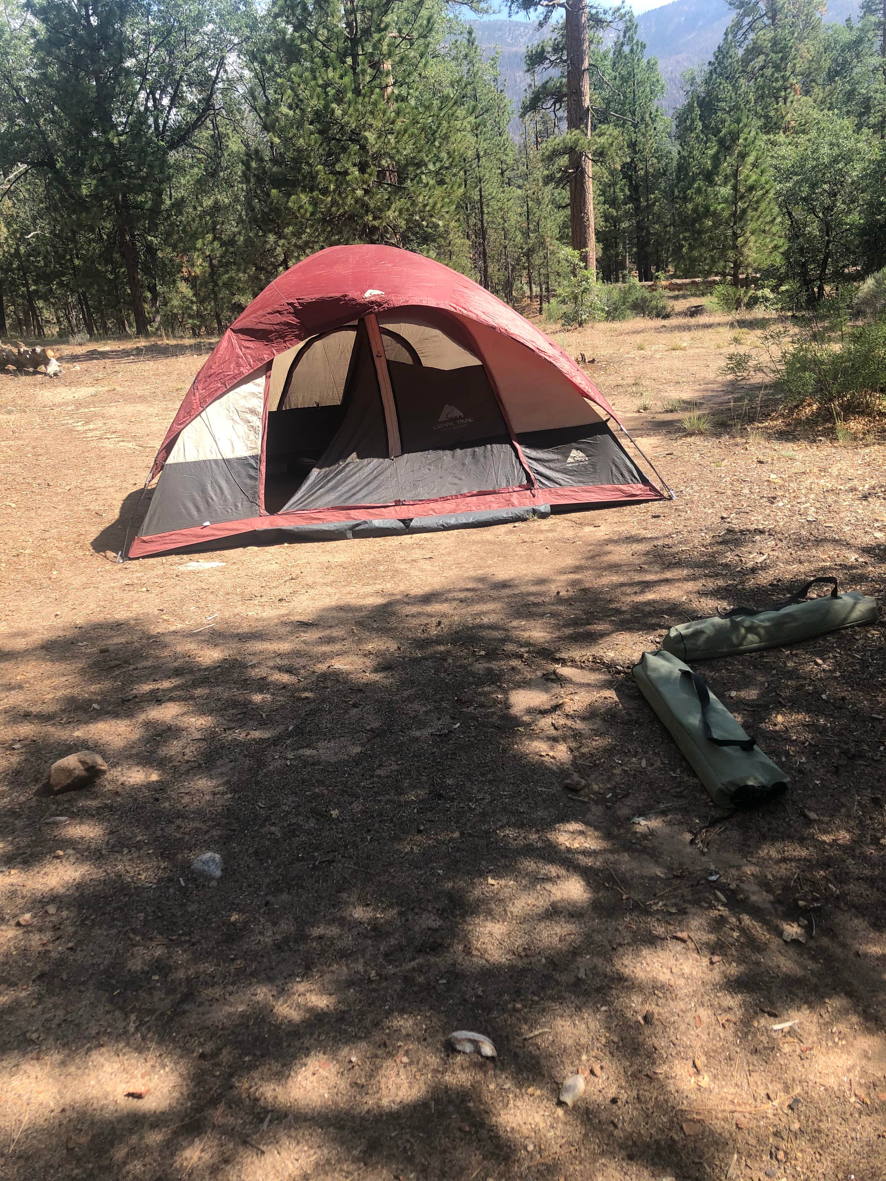 Camper-submitted photo at San Gorgonio Campground near Redlands, CA