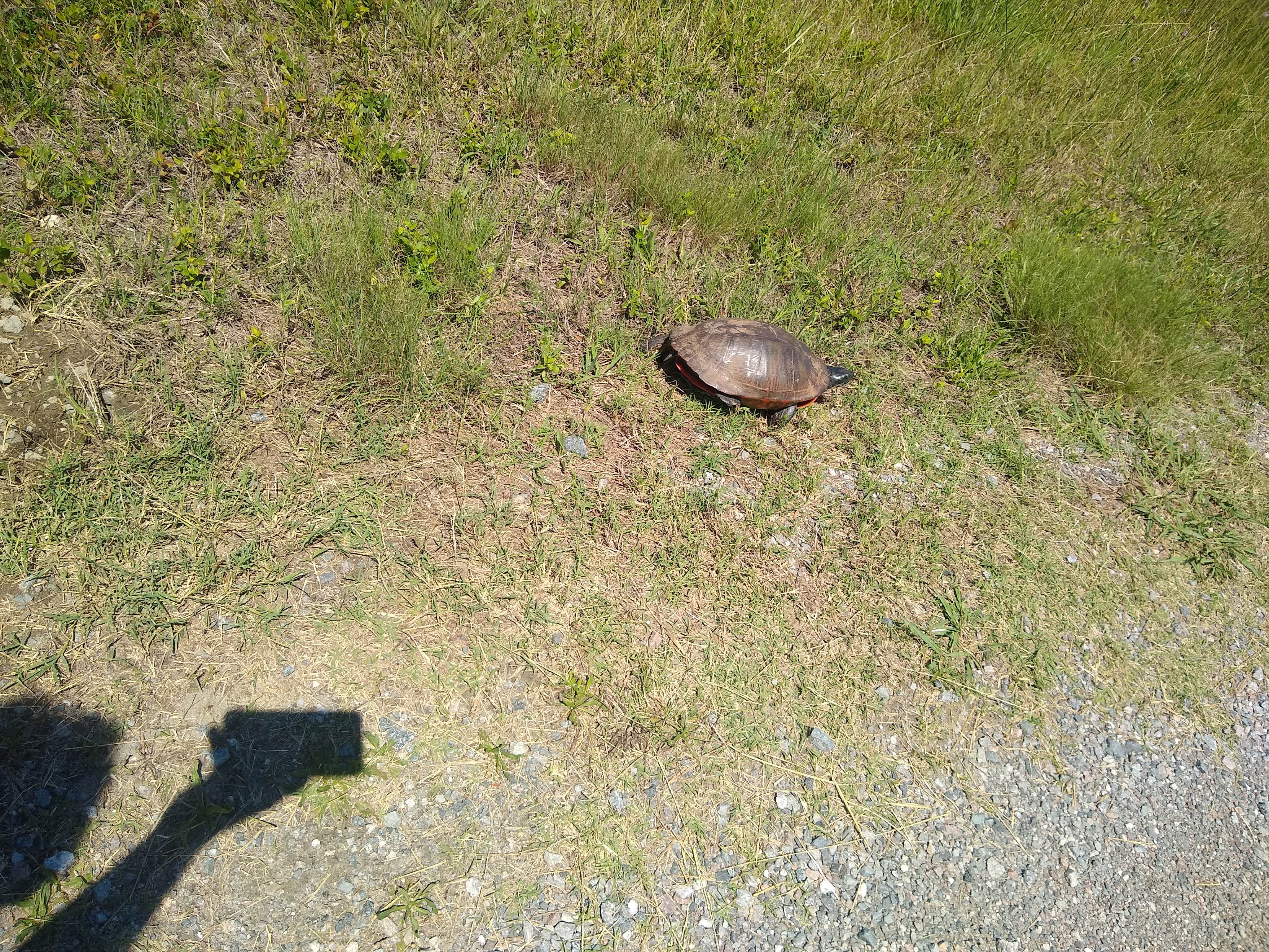 Camper-submitted photo at Virginia Beach RV Resort near Duck, NC