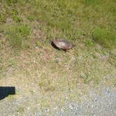 Review photo of Virginia Beach RV Resort by John Z., June 20, 2022