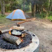 Review photo of Spruce Rustic Campground — Rifle River Recreation Area by D G., June 20, 2022