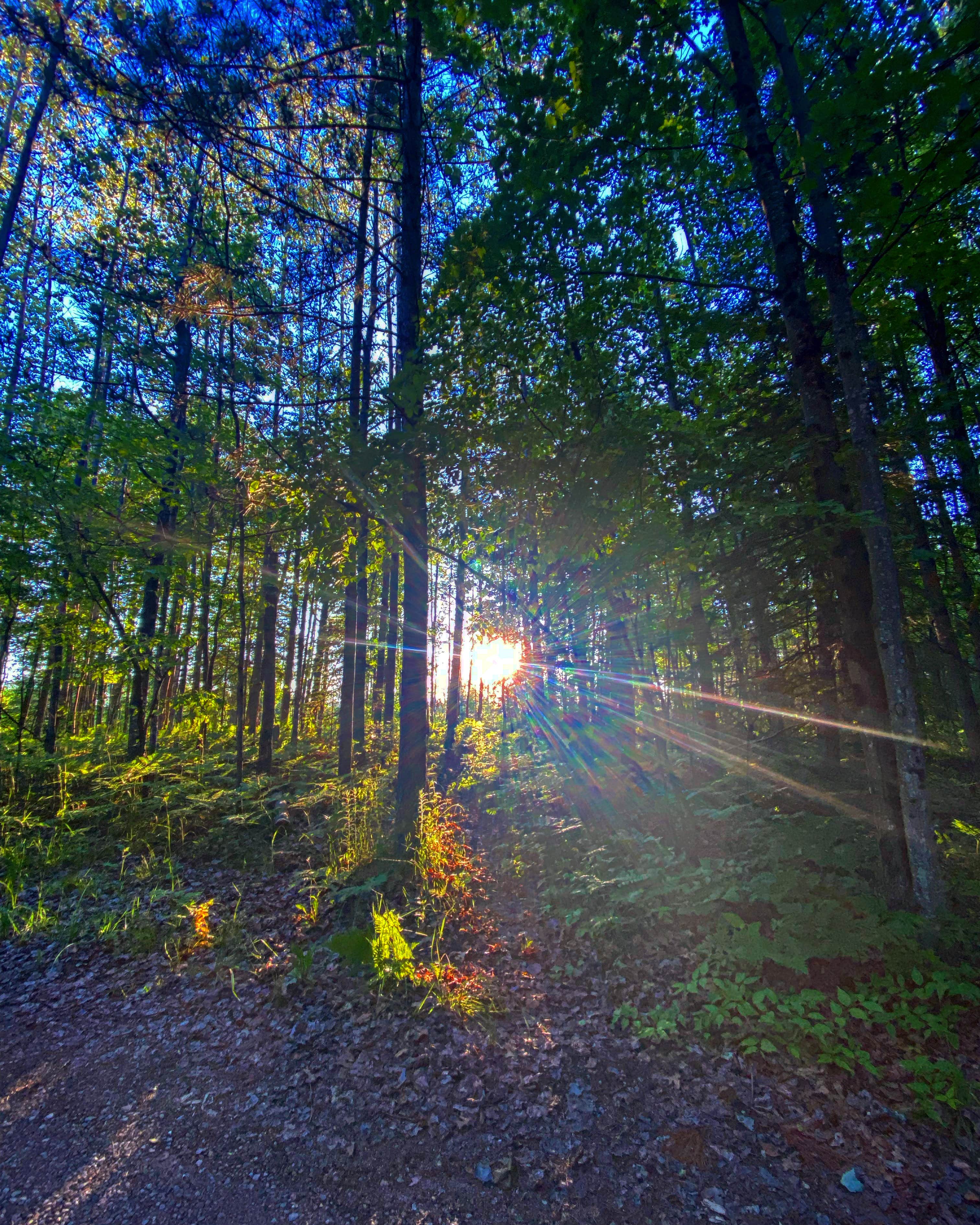 Camper-submitted photo at Spruce Rustic Campground — Rifle River Recreation Area near Black River, MI