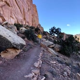 Review photo of Fruita Campground — Capitol Reef National Park by David P., June 20, 2022