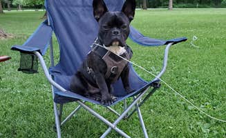 Jill T.'s photo of camping with pets at Annie and Abel Van Meter State Park Campground in Missouri