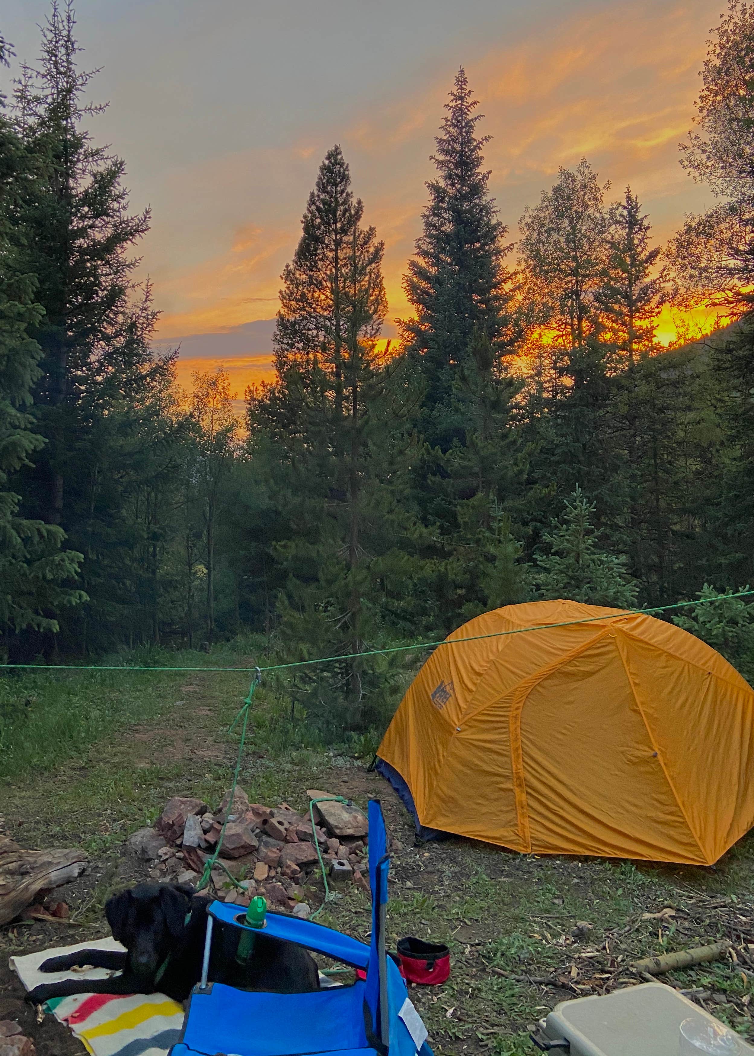Anwyn P.'s photo of tent camping at Peru Creek Designated Dispersed Camping near Minturn, CO