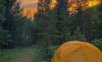 Anwyn P.'s photo of tent camping at Peru Creek Designated Dispersed Camping in Colorado