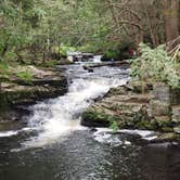 Review photo of Lower Lake Campground Beechwood Area — Promised Land State Park by Dawn R., June 20, 2022