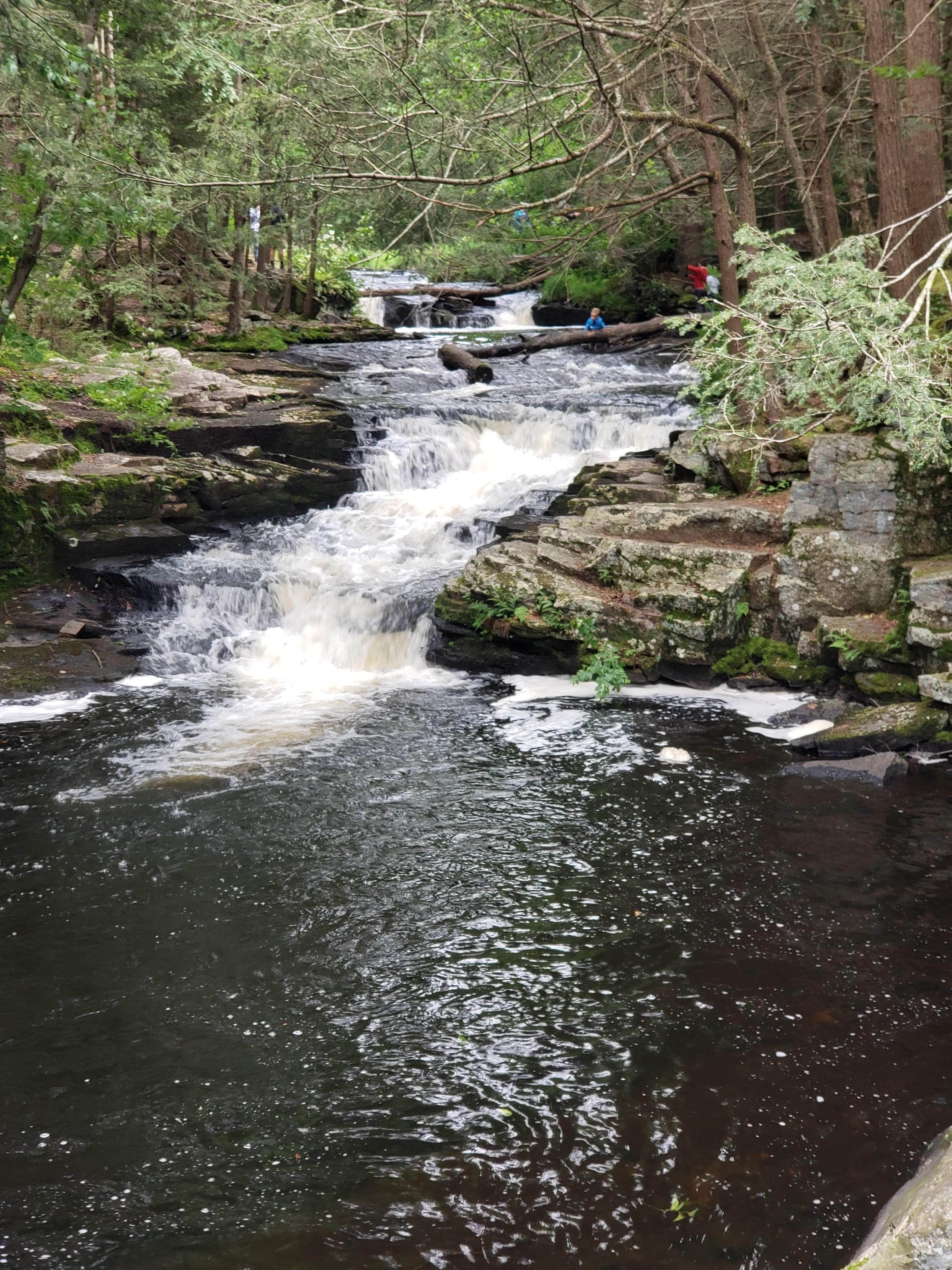 Camper submitted image from Lower Lake Campground Beechwood Area — Promised Land State Park - 4