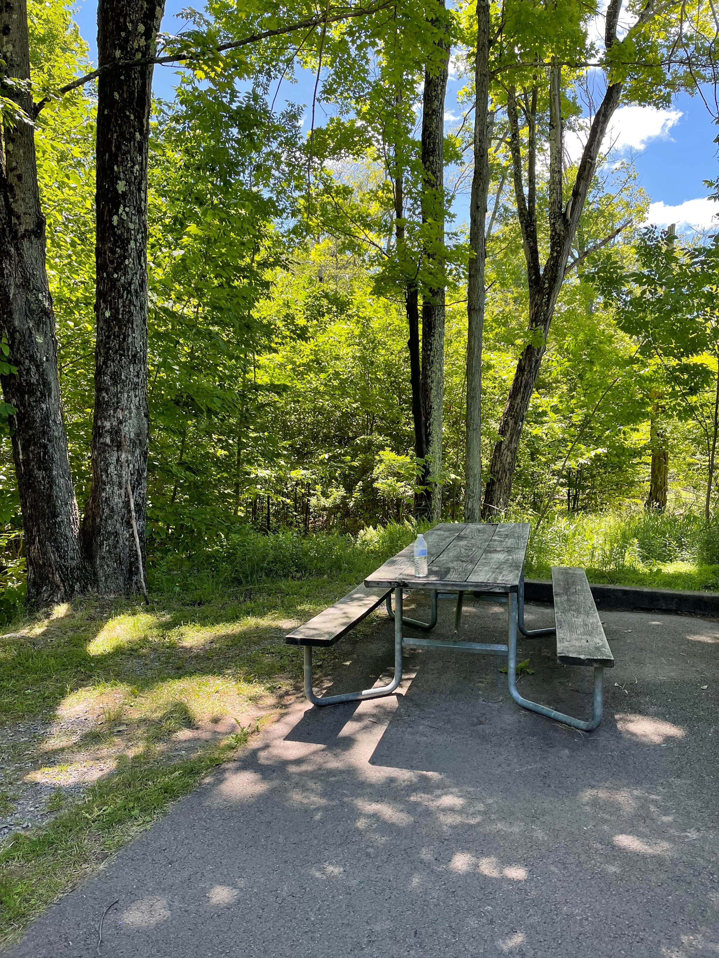 Dawn R.'s photo at Lower Lake Campground Beechwood Area — Promised Land State Park near Tobyhanna, PA