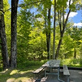 Review photo of Lower Lake Campground Beechwood Area — Promised Land State Park by Dawn R., June 20, 2022