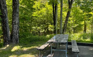 Dawn R.'s photo at Lower Lake Campground Beechwood Area — Promised Land State Park near Paupack, PA