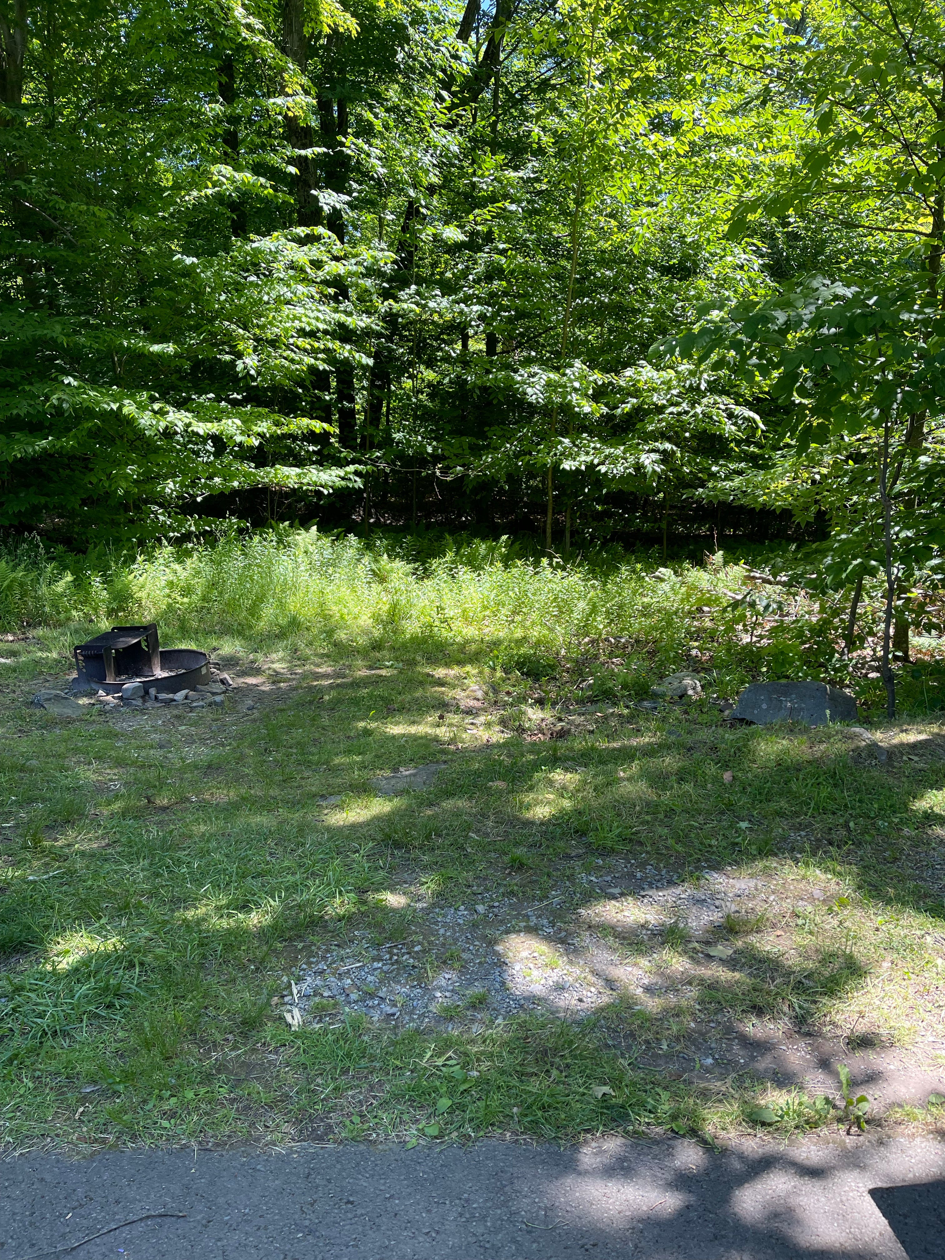 Camper submitted image from Lower Lake Campground Beechwood Area — Promised Land State Park - 2