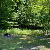 Review photo of Lower Lake Campground Beechwood Area — Promised Land State Park by Dawn R., June 20, 2022