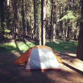 Camp Site 12 at Gurnsey Creek Campground, backs up to meadow