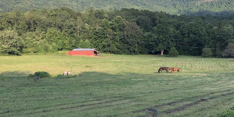 Camper submitted image from Miller Farm