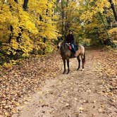 Review photo of Crow Hassan Park Reserve by Krista T., July 16, 2018