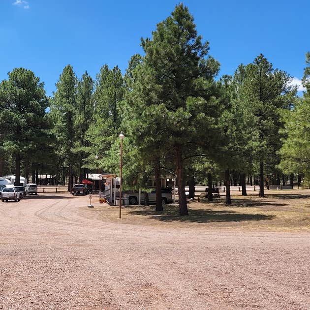Coronado Trail RV Park 55+ Alpine, AZ
