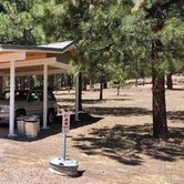Review photo of Coronado Trail RV Park 55+ by JOHN T., June 20, 2022