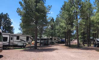 Camping near Head Of The Ditch Campground: Coronado Trail RV Park 55+, Alpine, Arizona