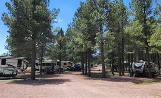 JOHN T.'s photo of rv camping at Coronado Trail RV Park 55+ near Blue, AZ