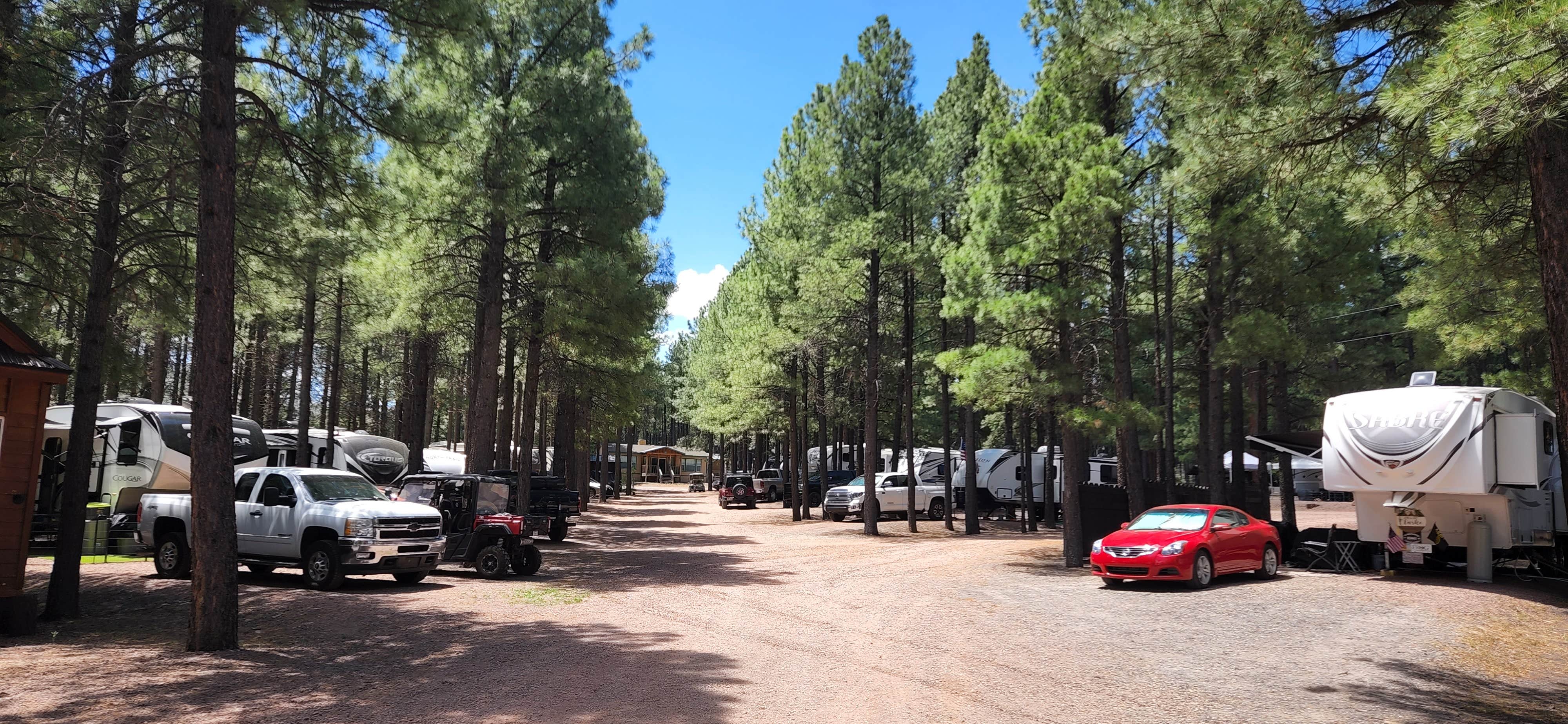 Camper-submitted photo at Coronado Trail RV Park 55+ near Whiteriver, AZ