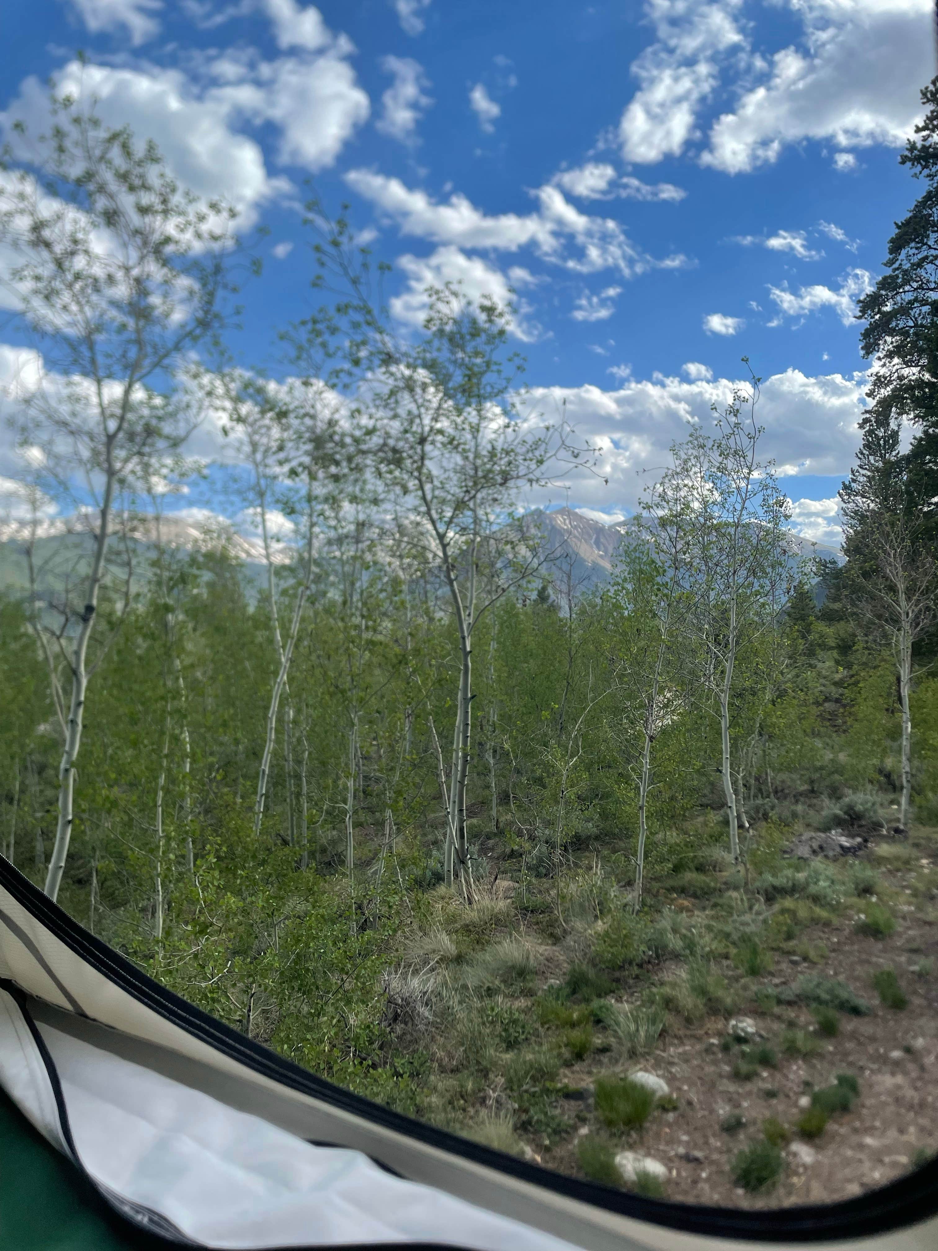 Camper-submitted photo at Twin Lakes Dispersed Camping - Site 2 West near Granite, CO