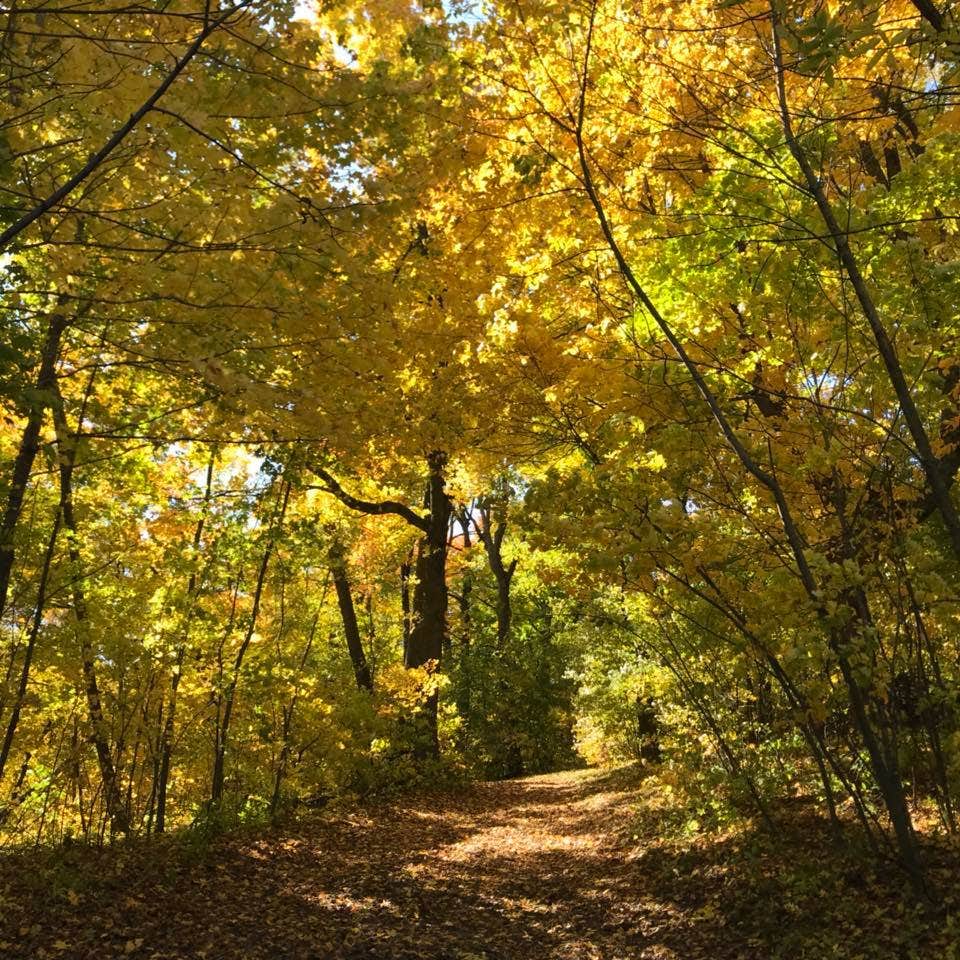 Camper-submitted photo at Crow Hassan Park Reserve near Savage, MN