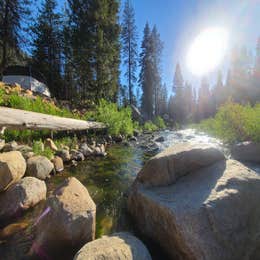 Public Campgrounds: Lodgepole Campground — Sequoia National Park