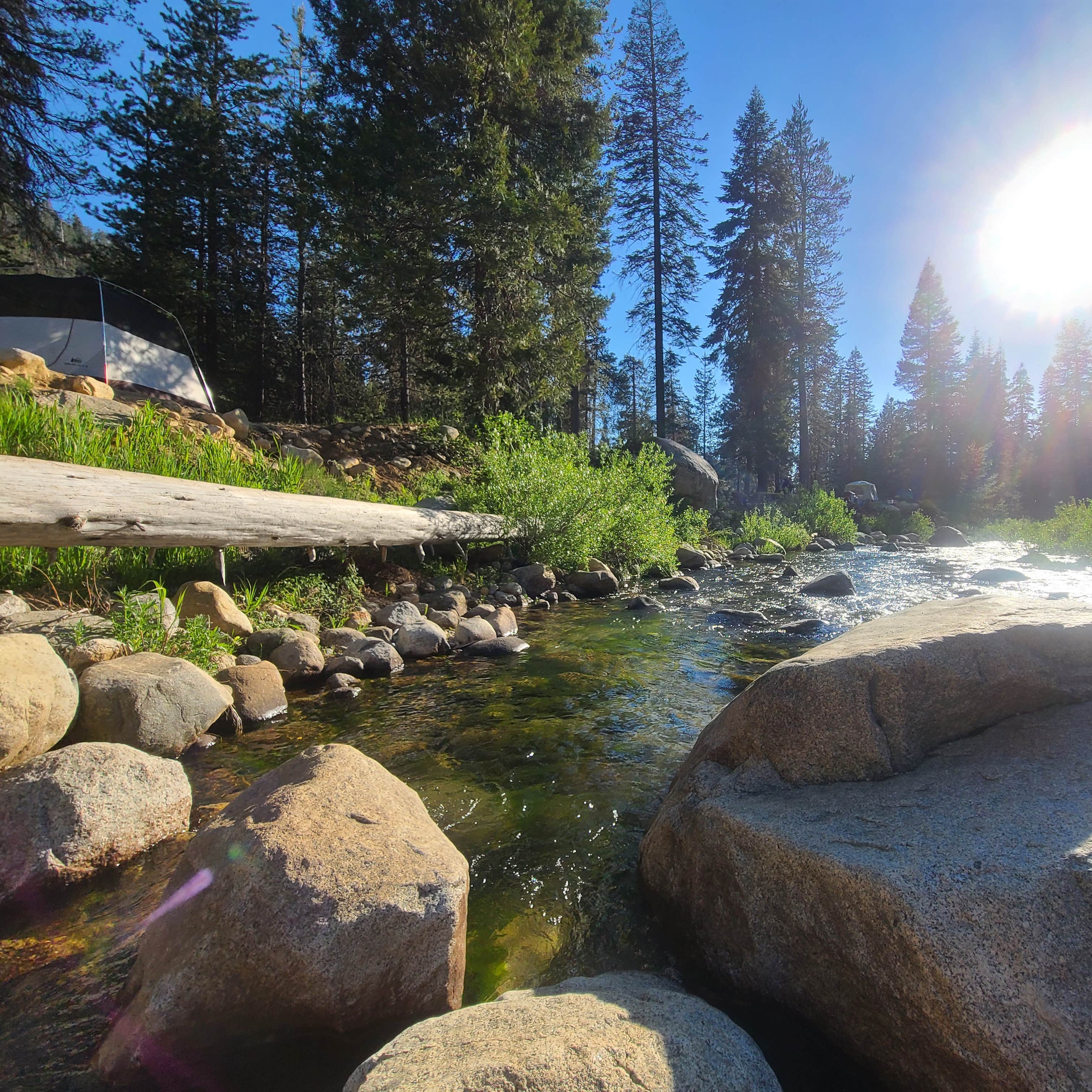 Lodgepole Campground — Sequoia National Park