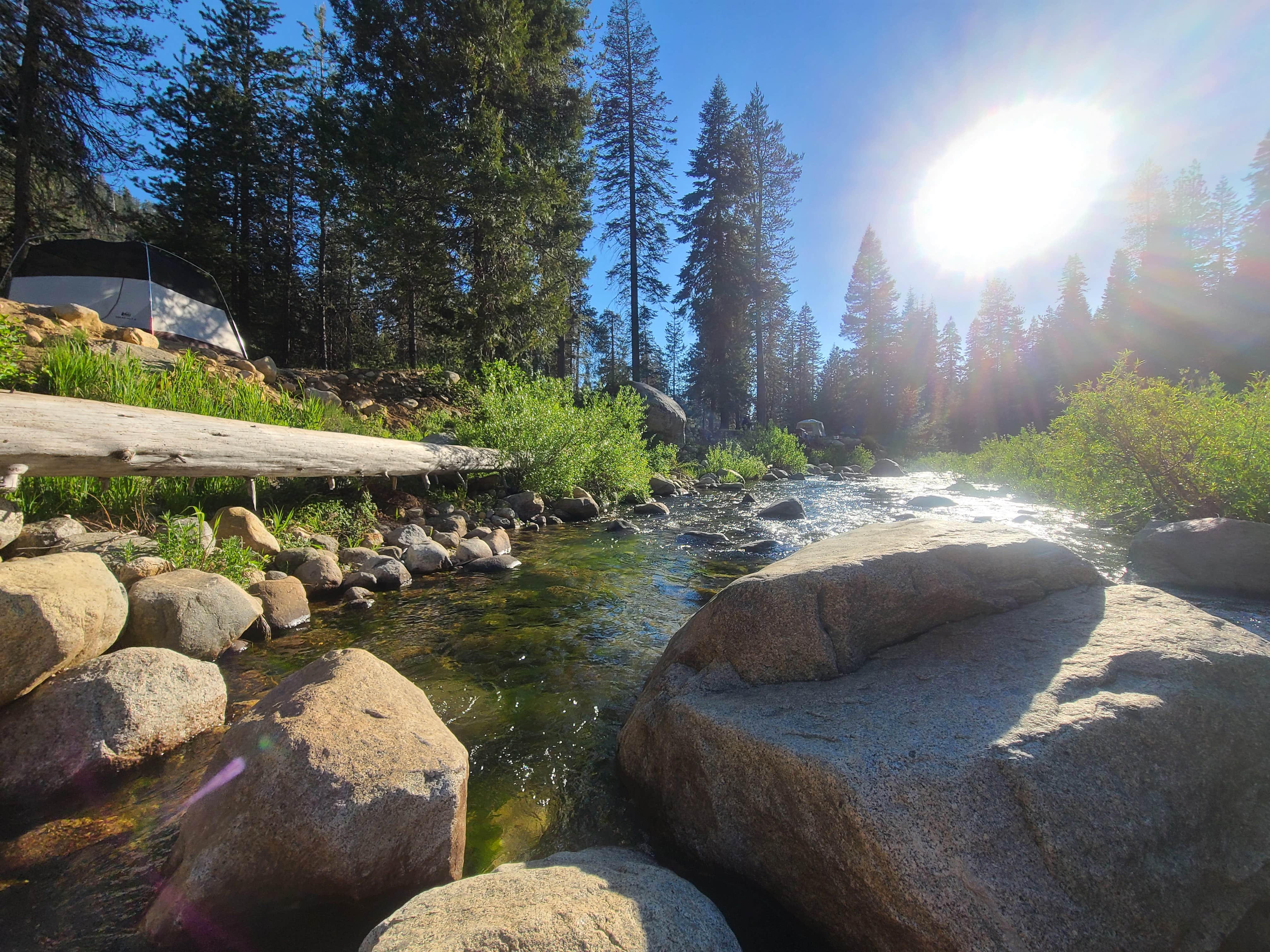 Camper submitted image from Lodgepole Campground — Sequoia National Park - 1