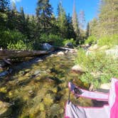 Review photo of Lodgepole Campground — Sequoia National Park by Lilliana M., June 20, 2022