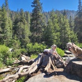 Review photo of Lodgepole Campground — Sequoia National Park by Lilliana M., June 20, 2022