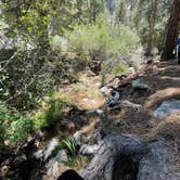 Review photo of Carpenter Canyon by Christie , June 20, 2022