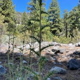 Review photo of Carpenter Canyon by Christie , June 20, 2022