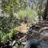 Review photo of Carpenter Canyon by Christie , June 20, 2022