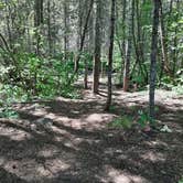 Review photo of Charles Waters Campground by Teresa M., June 20, 2022