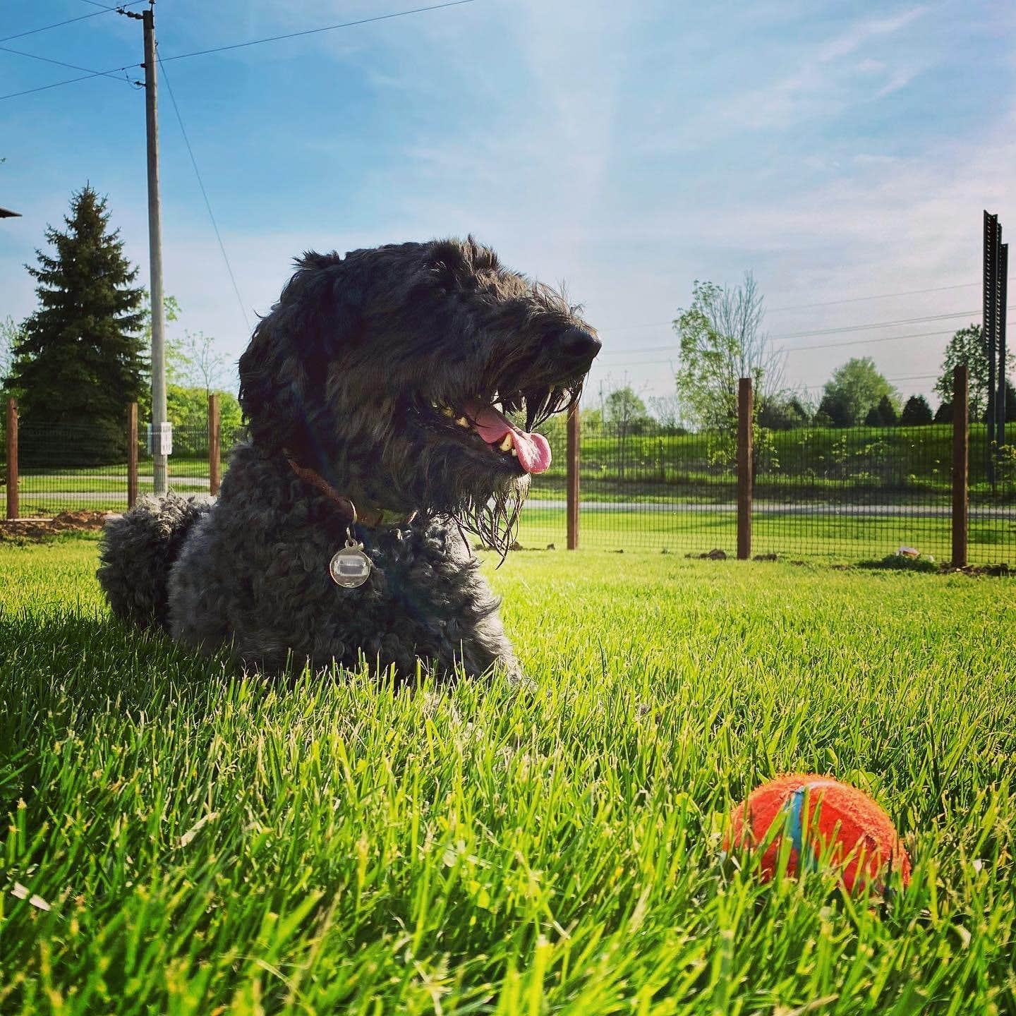 Angela's photo of camping with pets at Happy Acres Campground near Orland, IN
