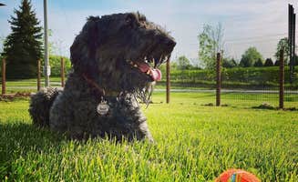 Angela's photo of camping with pets at Happy Acres Campground near Angola, IN