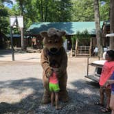 Review photo of Yogi in the smokies by Kim G., July 16, 2018