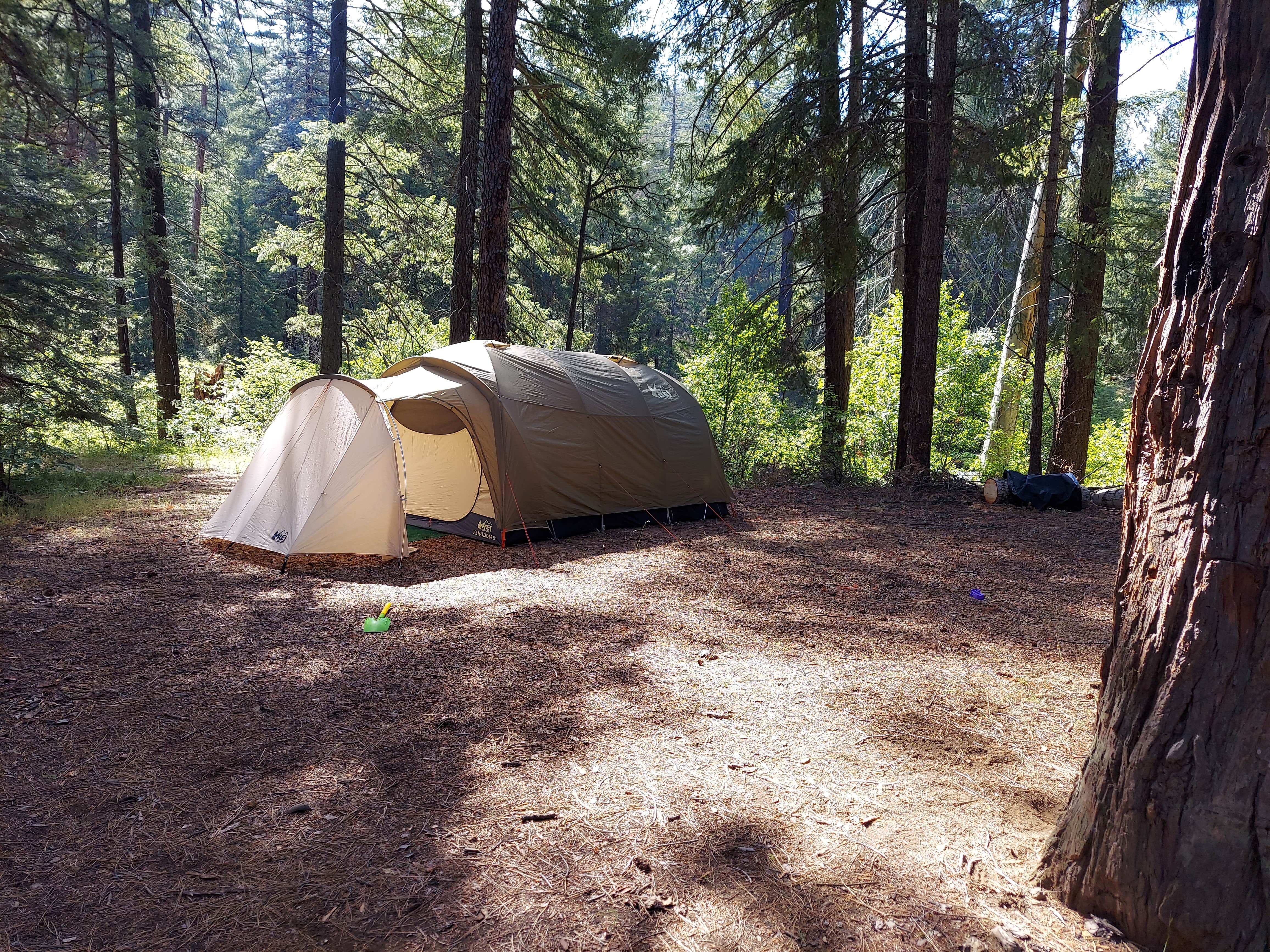 Alexis C.'s photo at Candle Creek Campground near Alder Springs, OR