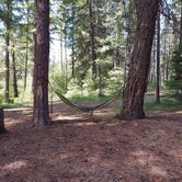 Review photo of Candle Creek Campground by Alexis C., June 20, 2022