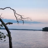 Review photo of Dreher Island State Park Campground by Dan F., June 20, 2022