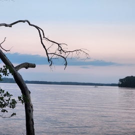 Lake Murray, a view from Site 41