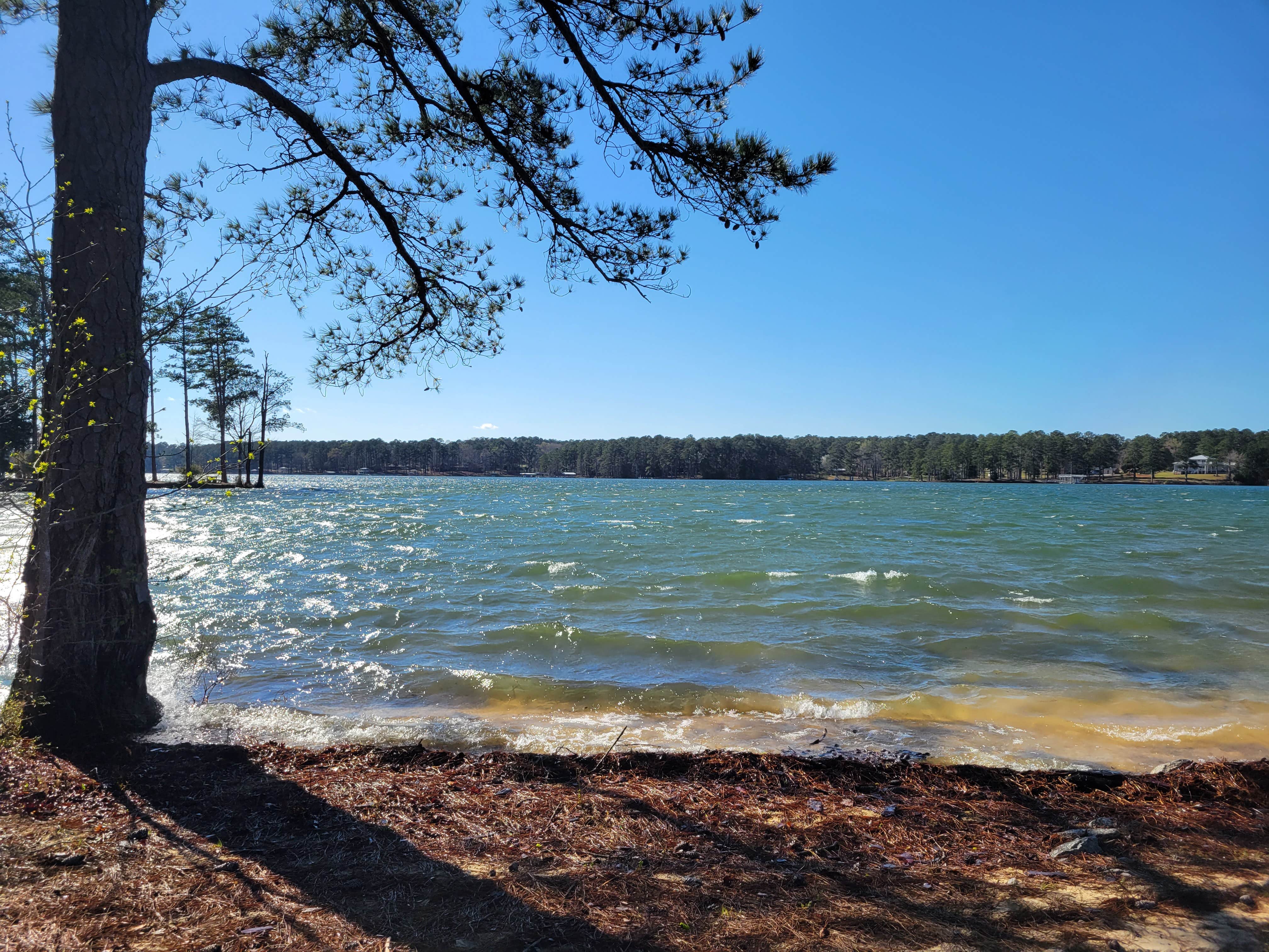 Camper-submitted photo at Wildwood County Park near North Augusta, SC