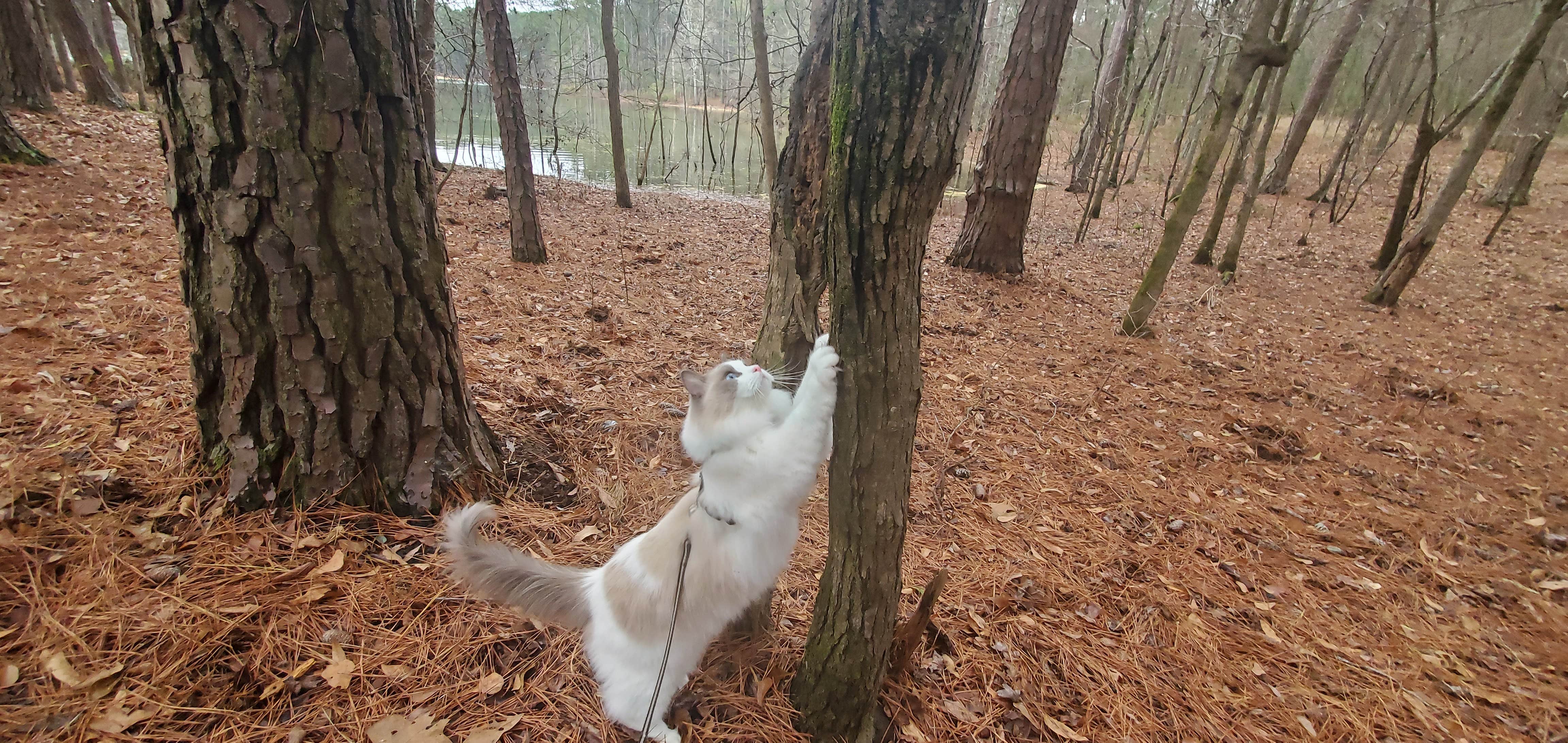 Camper-submitted photo at Wildwood County Park near North Augusta, SC