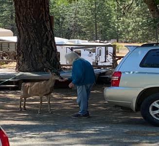 Camper-submitted photo from Mary Smith Campground