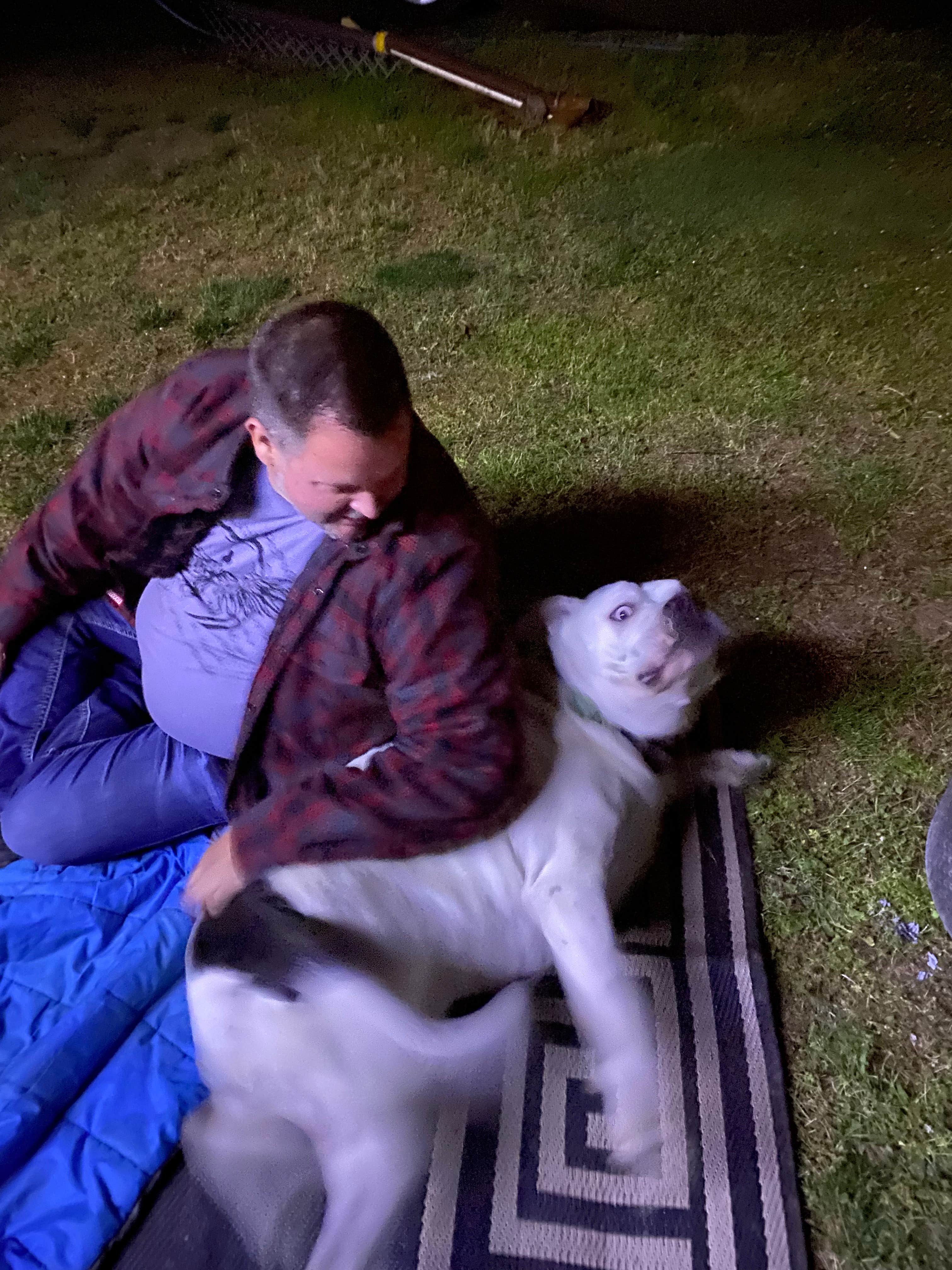 Jason D.'s photo of camping with pets at Old Lewiston Bridge RV Resort near Redding, CA